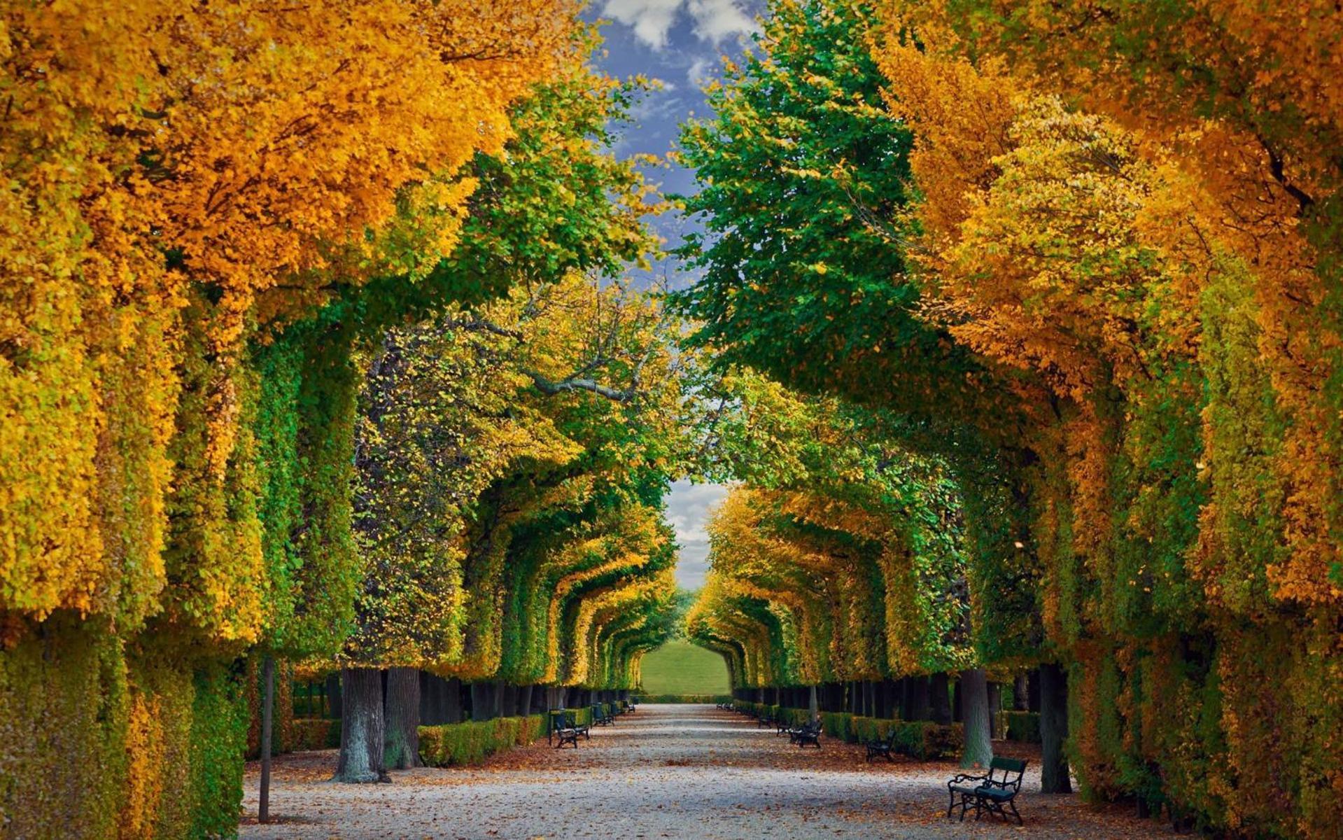 Regal Retreat Intimate Elegance Near Schoenbrunn Palace Vienne Extérieur photo